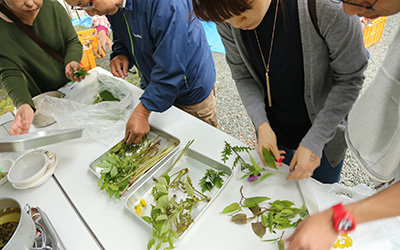 山菜採り体験