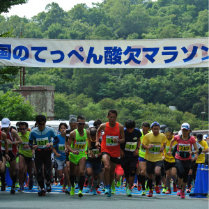 いの町観光の魅力