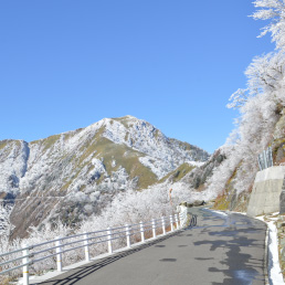 UFOライン