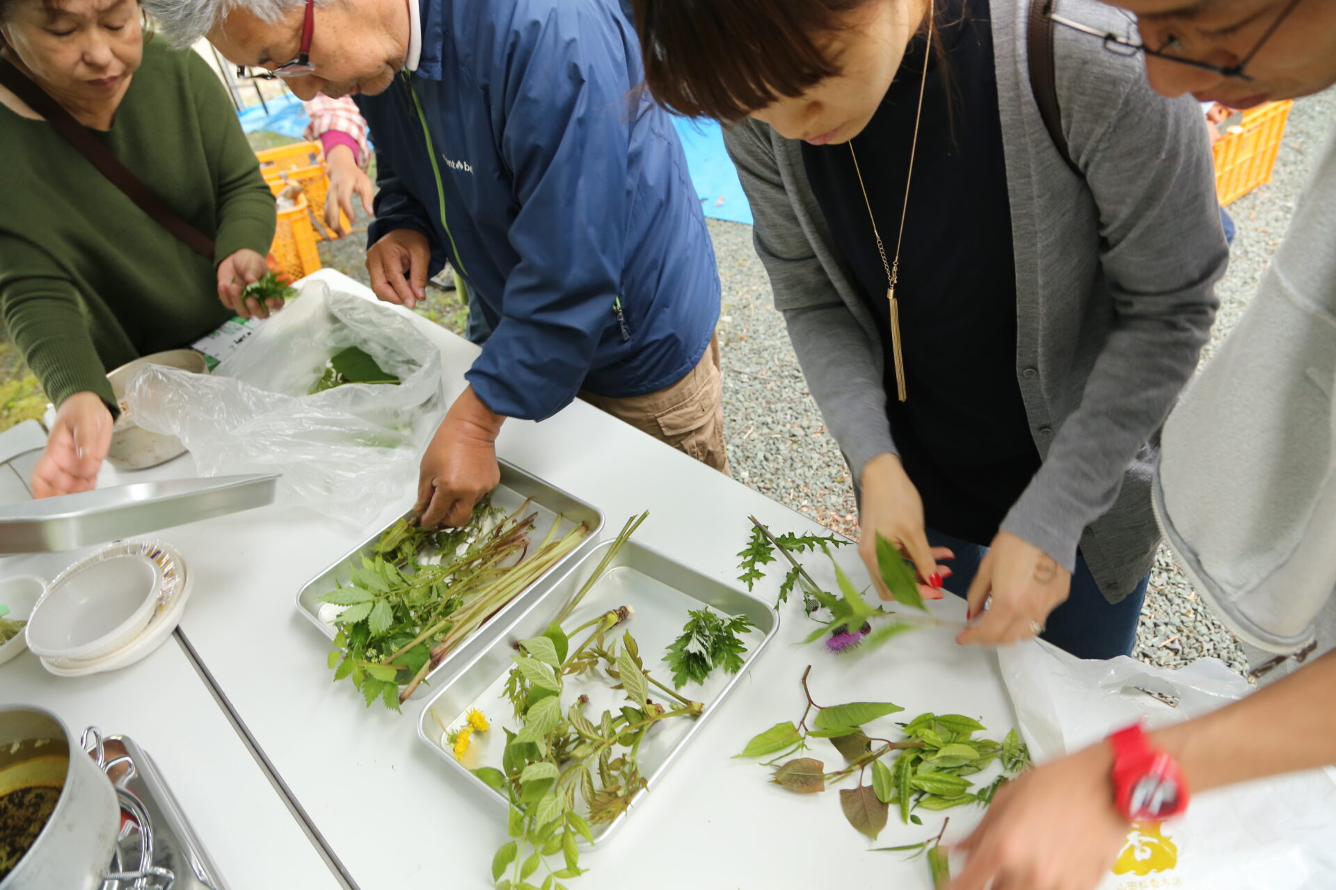 山菜天ぷら山行