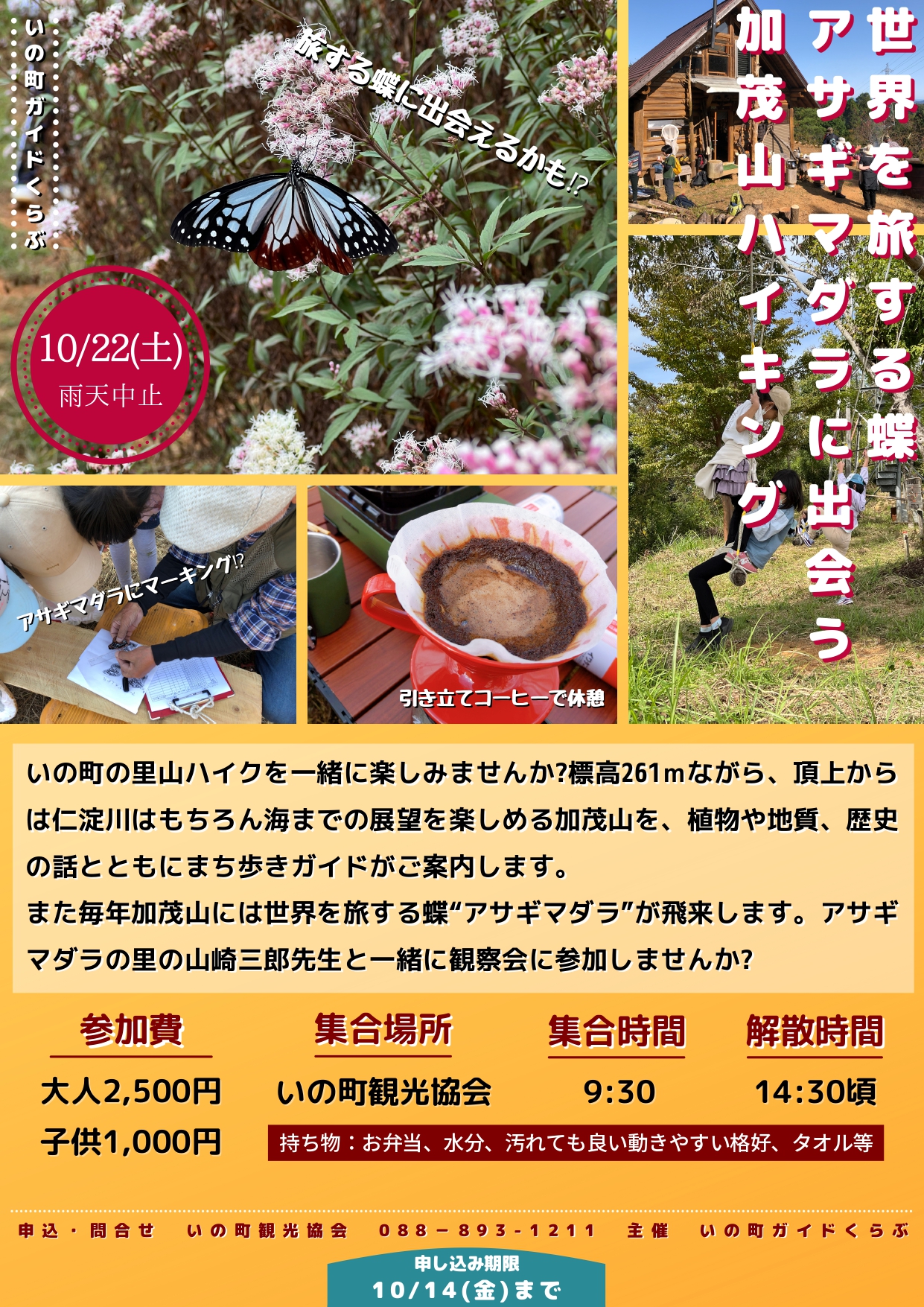 高品質　四川省　♡山形　クラスター♡　蝶々　オマケ付 中国四川省成都近郊遠征記：その8 : 探蝶逍遥記