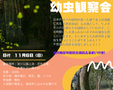 11/6(日)　いの町波川木漏れ日公園 森のホタル（ヒメボタル）幼虫観察会