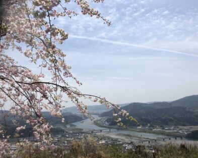 4/2(日) 「加茂山の日」加茂山に鯉のぼりを流そう!