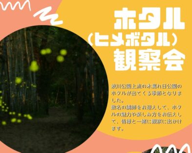 6/4(日)　いの町波川木漏れ日公園　ホタル観察会