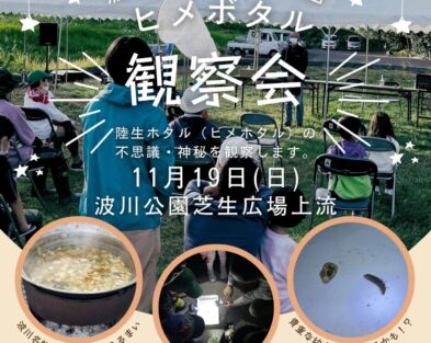 11/19(日)　波川木漏れ日公園 ヒメボタル幼虫観察会