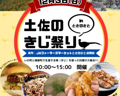 12/3(日)  土佐のきじ祭り