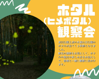 5/25(土)　いの町波川木漏れ日公園　ホタル観察会