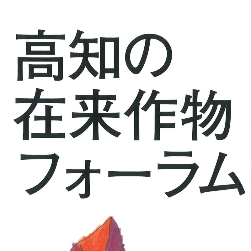 前の記事
