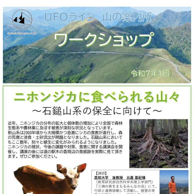 前の記事