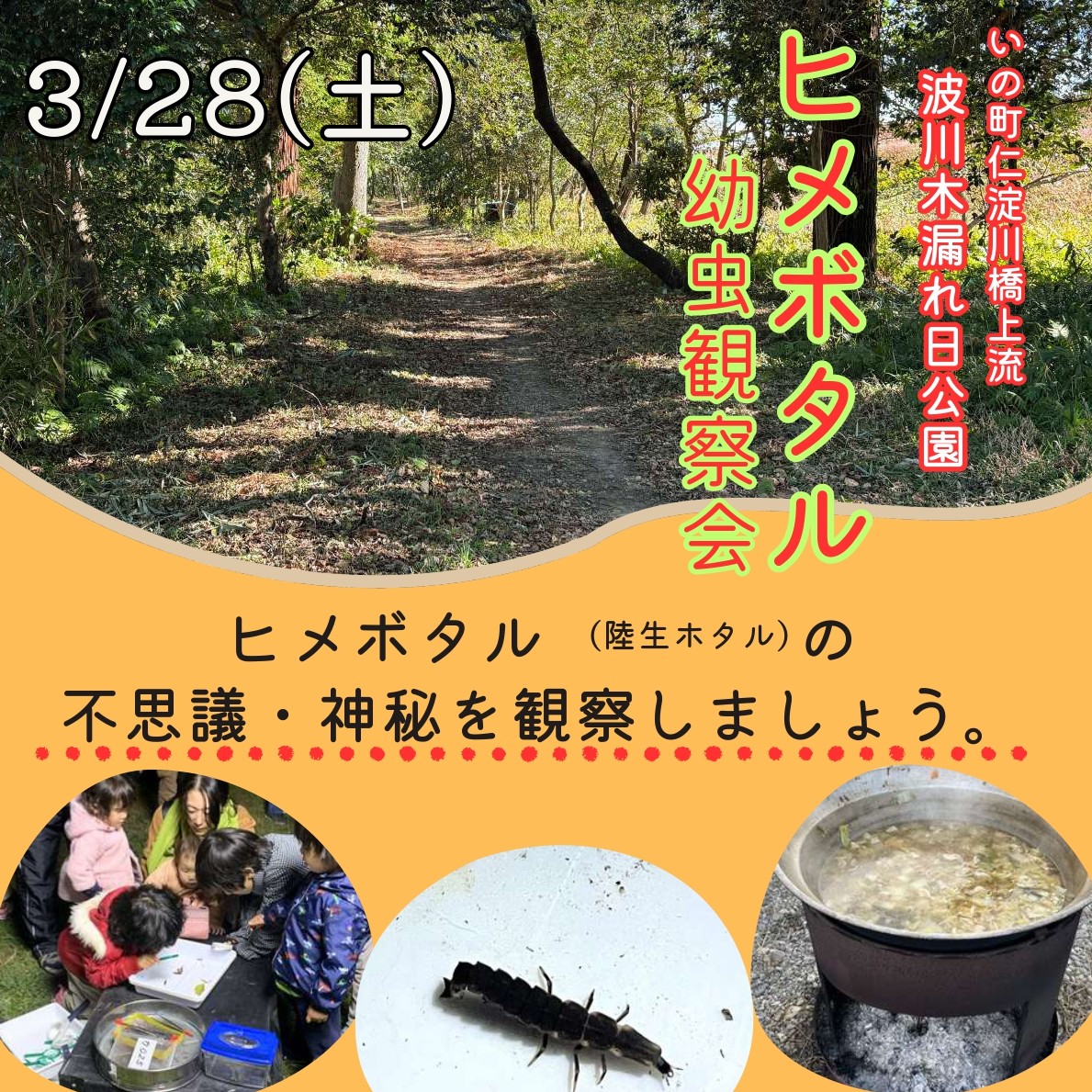波川木漏れ日公園ヒメボタル幼虫観察会