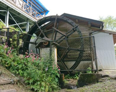 3/22（日）ふれあいの里柳野　新そば祭り