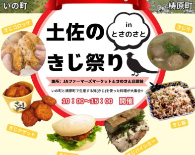 3/22(日)   土佐のきじ祭り