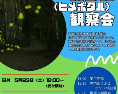 5/23(土)　波川木漏れ日公園ホタル（ヒメボタル）観察会